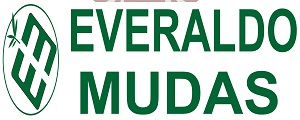 Everaldo Mudas